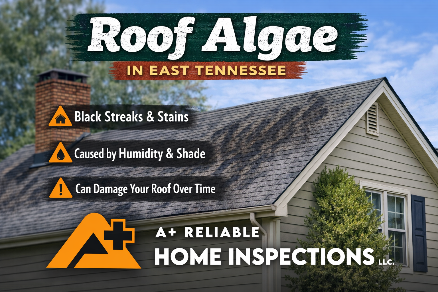 Roof algae in Knoxville TN causing black streaks on asphalt shingles